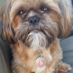 Meet your Posher, Ellen